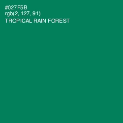 #027F5B - Tropical Rain Forest Color Image